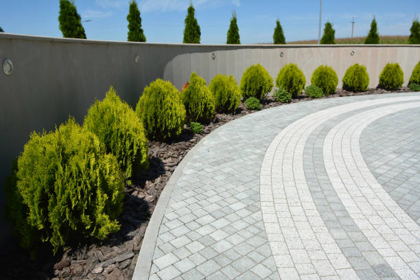 Best Driveway Repair Near Me  in Sonoma, CA